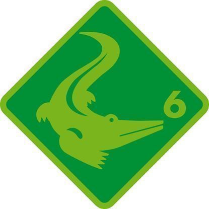 06 Krokodil.jpeg